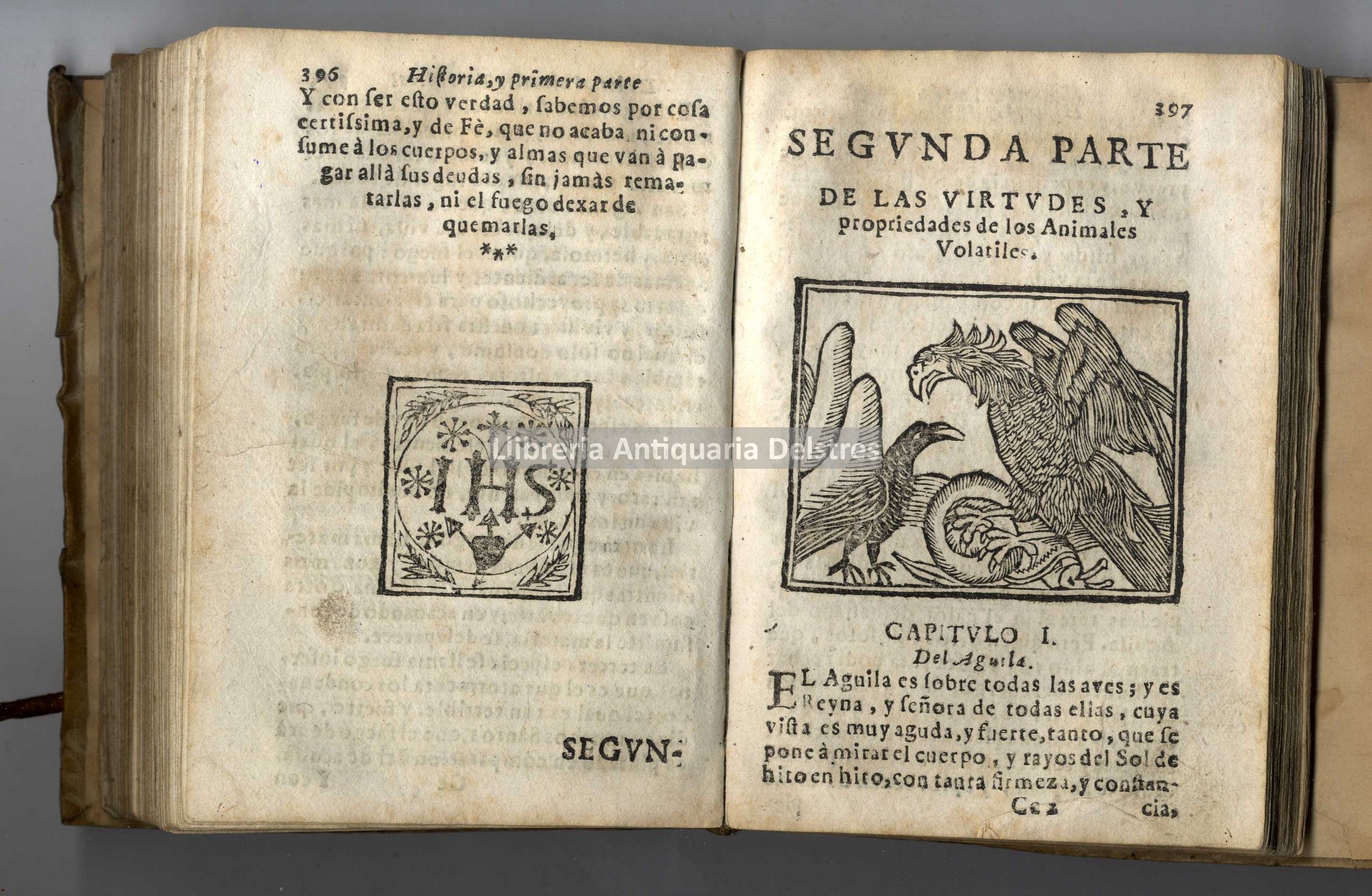 Cortés, Jerónimo.  Tratado de los animales terrestres, y volátiles, y sus Propiedades. 